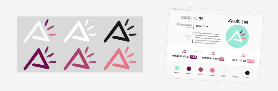 Captures d'écran de la planche graphique réalisée pour le site d'Anaïs